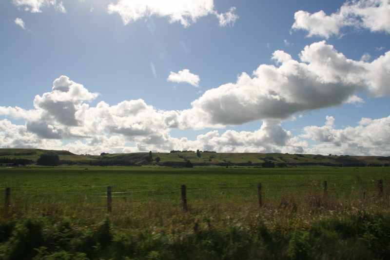 Nieuw-Zeeland 2011 - 1745